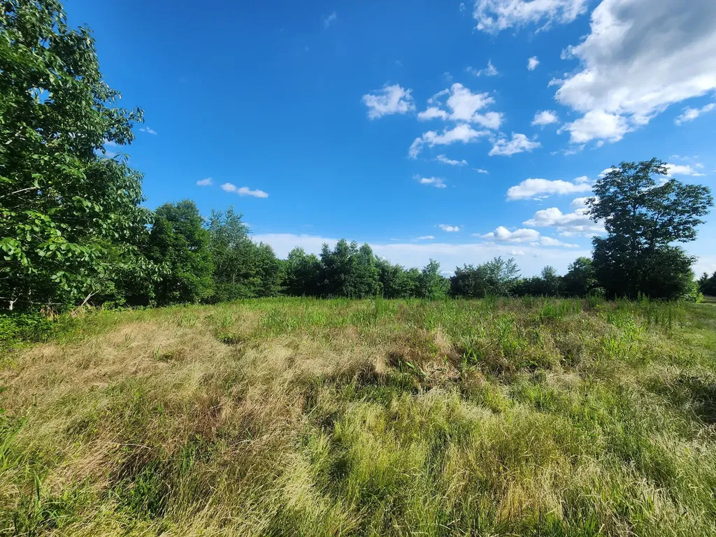 0 Sinking Creek Road Linden TN 37096