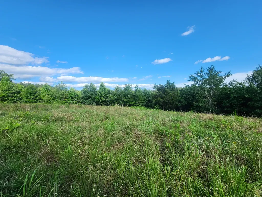 0 Sinking Creek Road Linden TN 37096