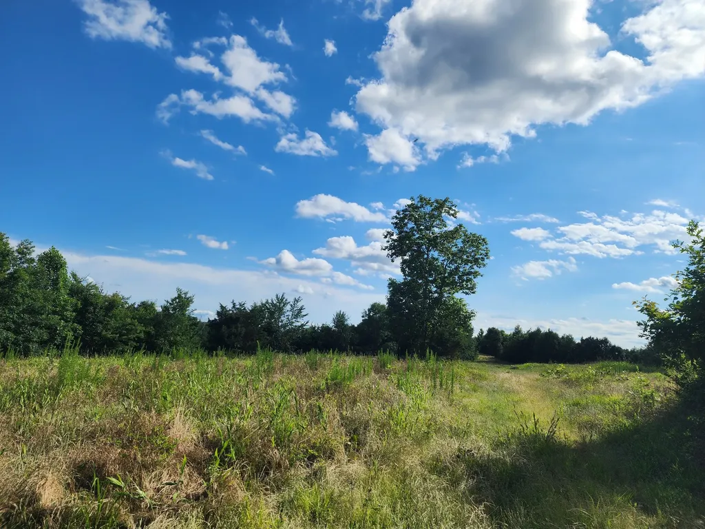 0 Sinking Creek Road Linden TN 37096