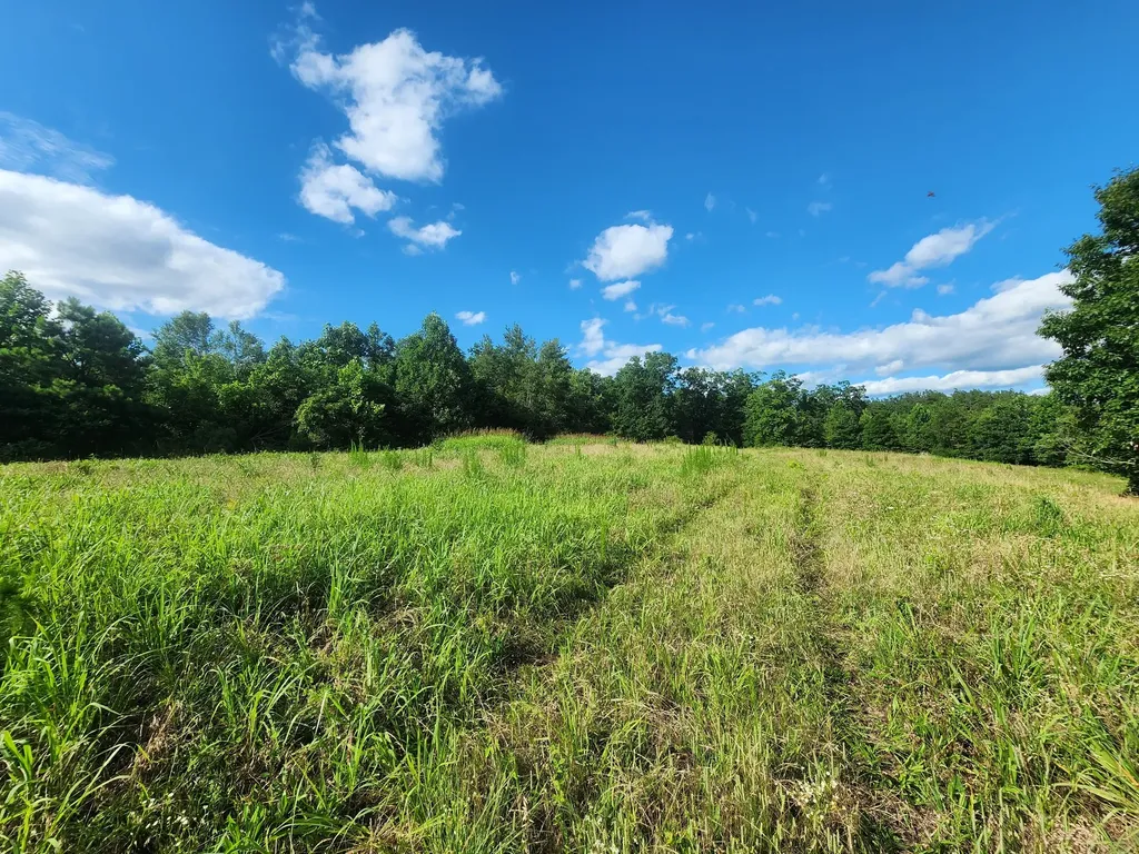 0 Sinking Creek Road Linden TN 37096