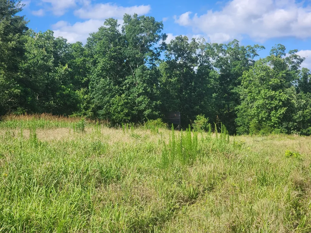 0 Sinking Creek Road Linden TN 37096