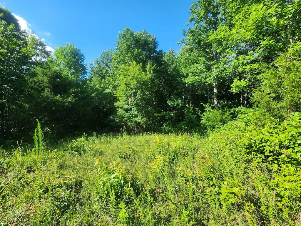 0 Sinking Creek Road Linden TN 37096