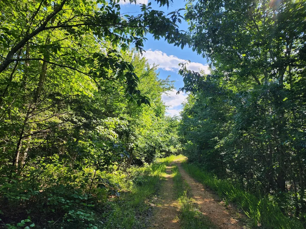 0 Sinking Creek Road Linden TN 37096