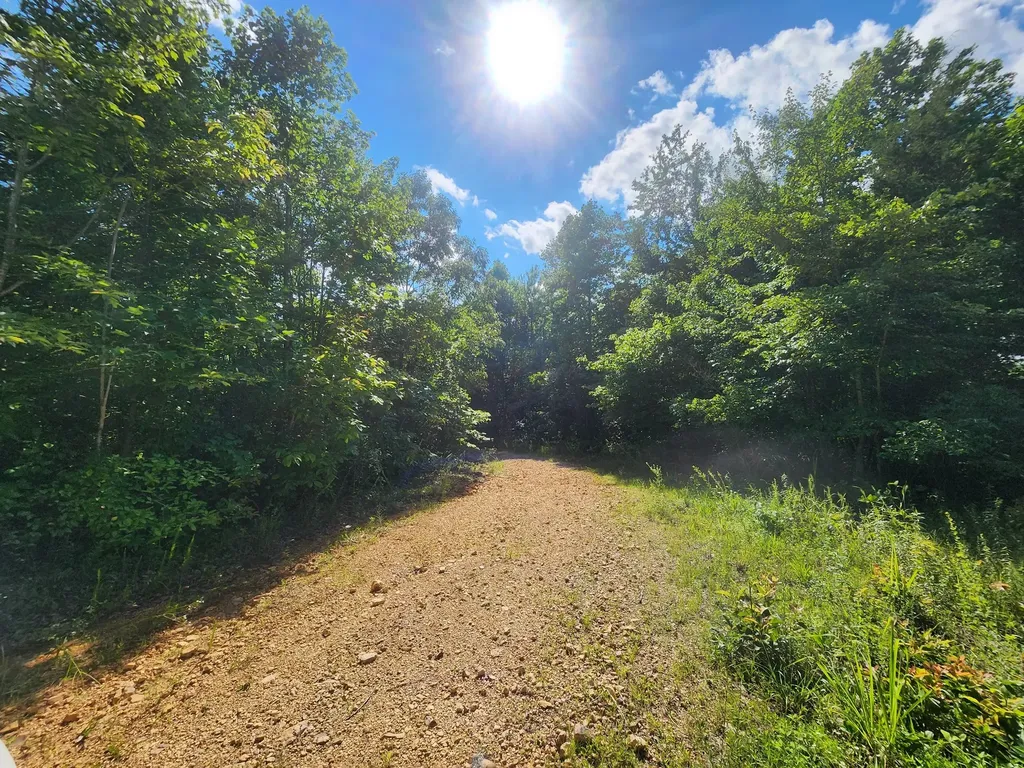 0 Sinking Creek Road Linden TN 37096