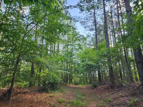 0 Sinking Creek Road Linden TN 37096