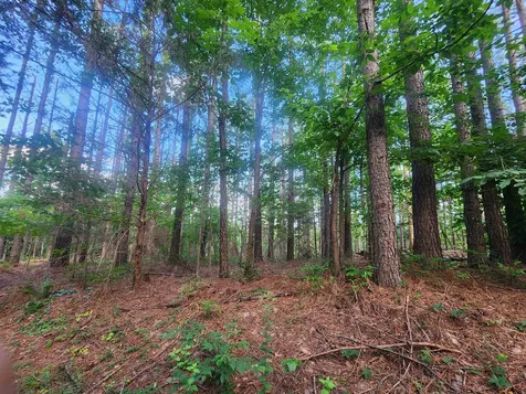 0 Sinking Creek Road Linden TN 37096