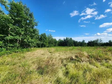 0 Sinking Creek Road Linden TN 37096