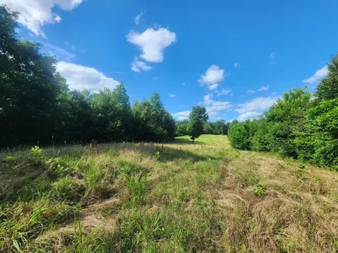0 Sinking Creek Road Linden TN 37096