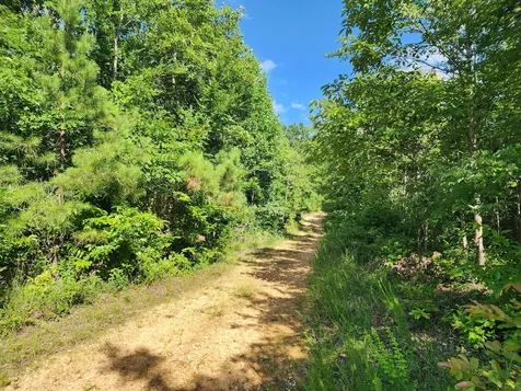 0 Sinking Creek Road Linden TN 37096