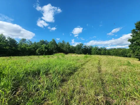 0 Sinking Creek Road Linden TN 37096