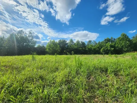 0 Sinking Creek Road Linden TN 37096