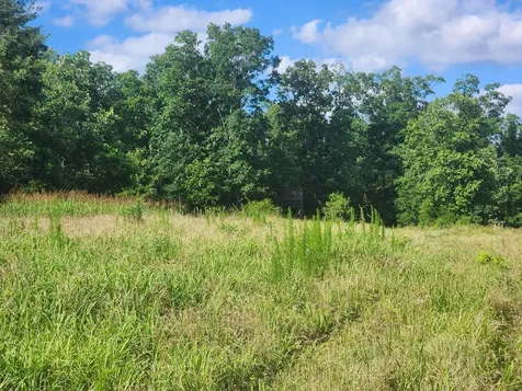 0 Sinking Creek Road Linden TN 37096
