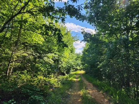 0 Sinking Creek Road Linden TN 37096