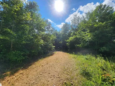 0 Sinking Creek Road Linden TN 37096