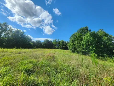 0 Sinking Creek Road Linden TN 37096