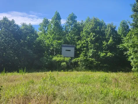0 Sinking Creek Road Linden TN 37096