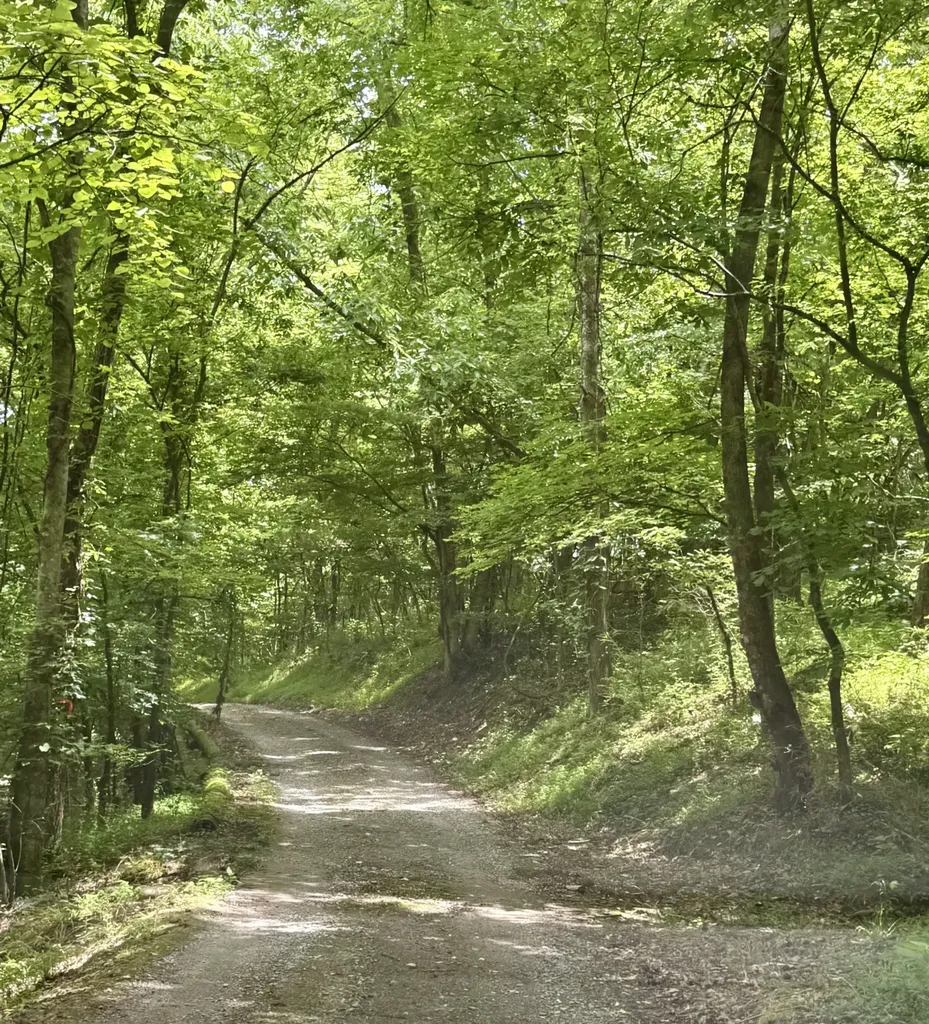 6 Mason Lane Brush Creek TN 38547