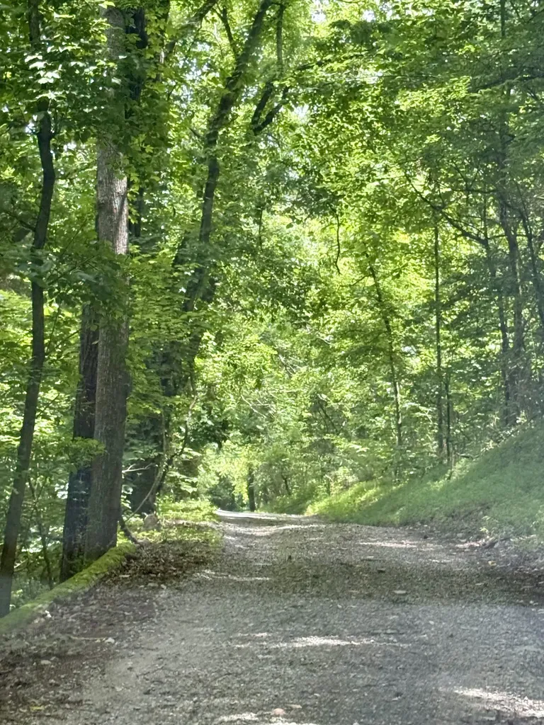 6 Mason Lane Brush Creek TN 38547