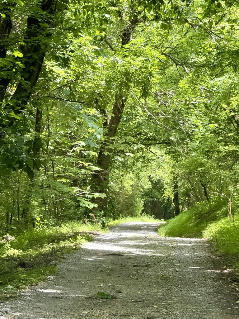 6 Mason Lane Brush Creek TN 38547