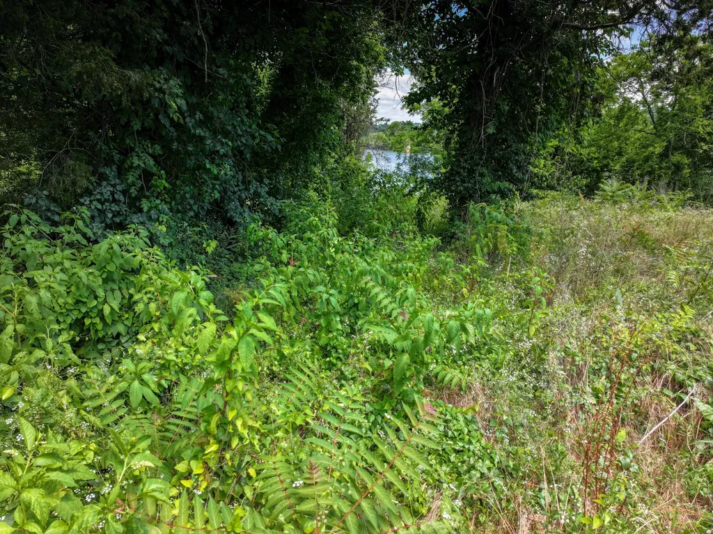 100 Riverview Drive Loudon TN 37774
