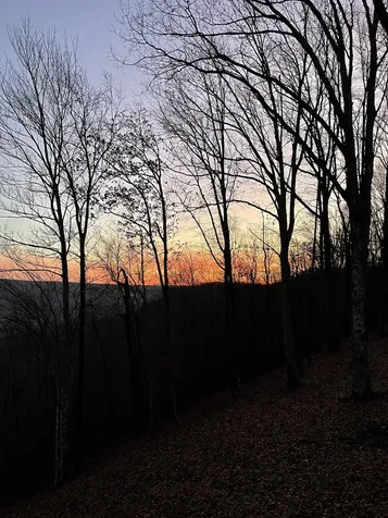 2245 Ravens Den Road Sewanee TN 37375