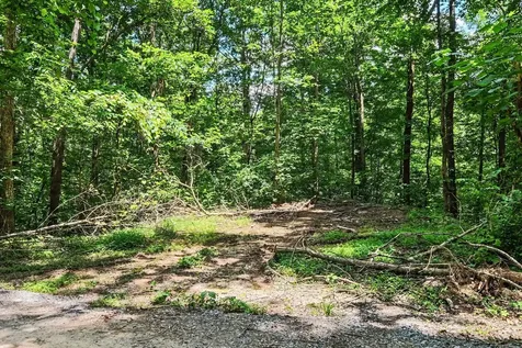 0 Anderson Road Pegram TN 37143