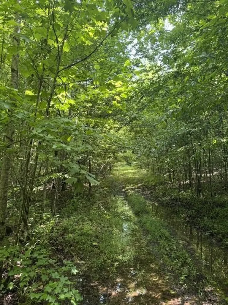 2784 Fiery Gizzard Road South Pittsburg TN 37380