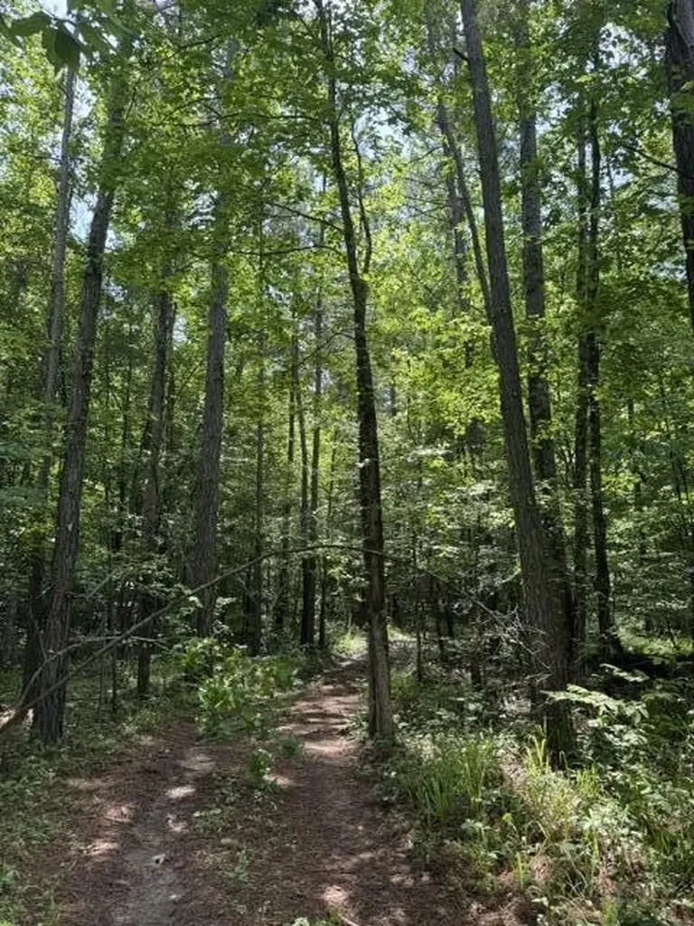 2784 Fiery Gizzard Road South Pittsburg TN 37380