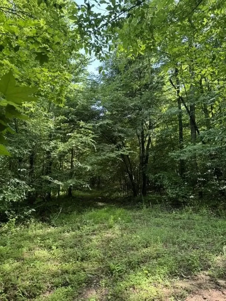 2784 Fiery Gizzard Road South Pittsburg TN 37380