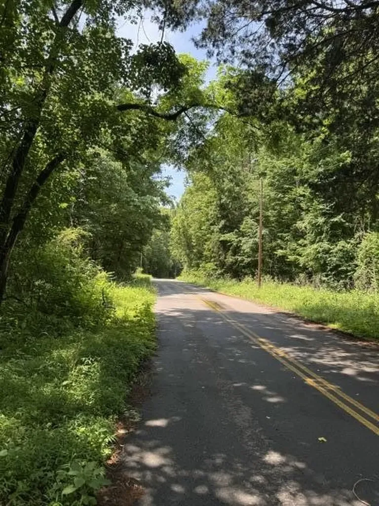 2784 Fiery Gizzard Road South Pittsburg TN 37380