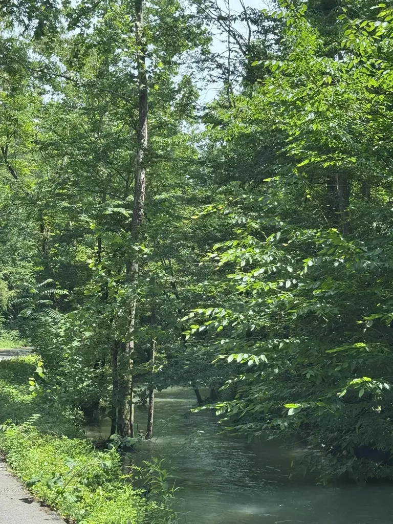 2784 Fiery Gizzard Road South Pittsburg TN 37380