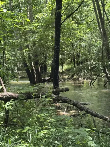 2784 Fiery Gizzard Road South Pittsburg TN 37380