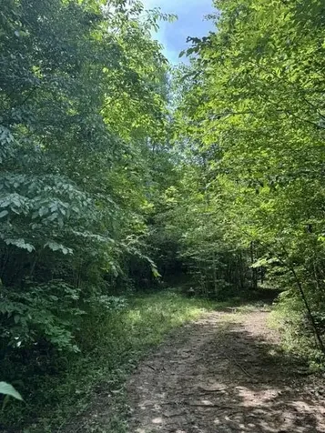 2784 Fiery Gizzard Road South Pittsburg TN 37380