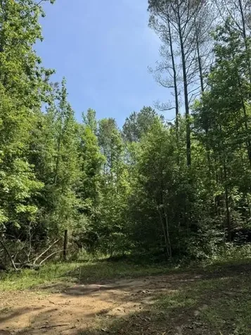 2784 Fiery Gizzard Road South Pittsburg TN 37380