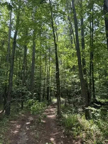 2784 Fiery Gizzard Road South Pittsburg TN 37380