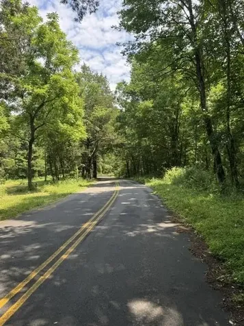 2784 Fiery Gizzard Road South Pittsburg TN 37380