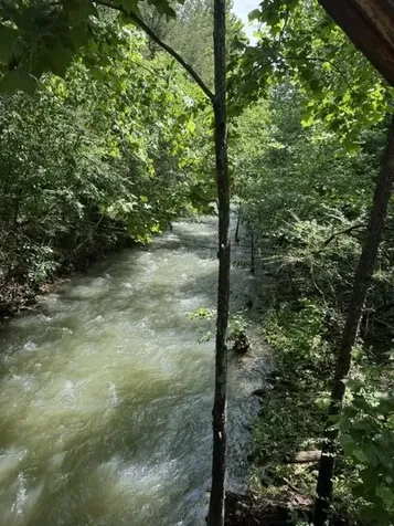 2784 Fiery Gizzard Road South Pittsburg TN 37380