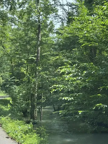 2784 Fiery Gizzard Road South Pittsburg TN 37380