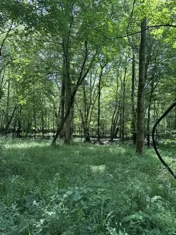 2784 Fiery Gizzard Road South Pittsburg TN 37380