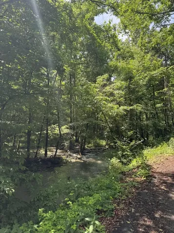 2784 Fiery Gizzard Road South Pittsburg TN 37380