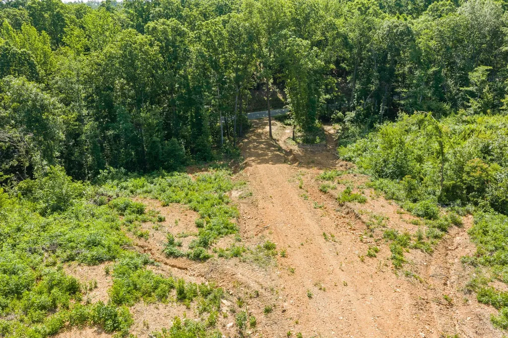 0 Coxburg Road N Holladay TN 38341
