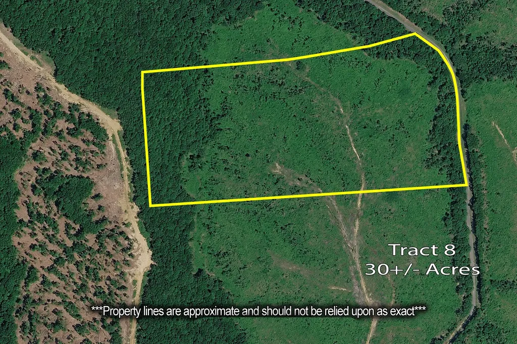 0 Coxburg Road N Holladay TN 38341