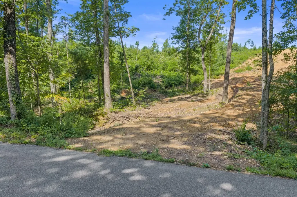 0 Coxburg Road N Holladay TN 38341
