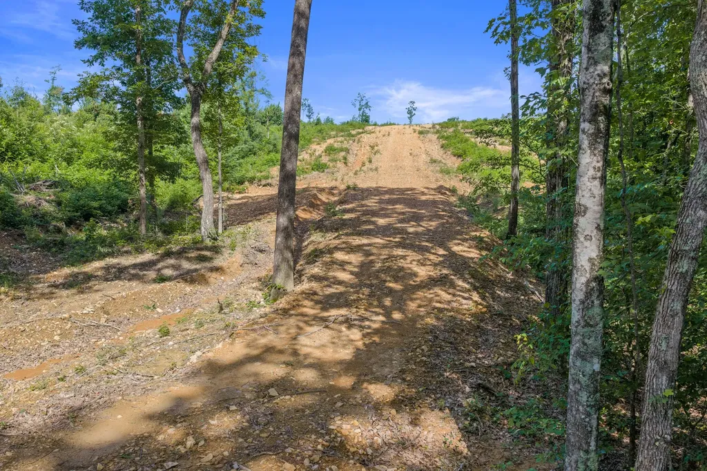 0 Coxburg Road N Holladay TN 38341