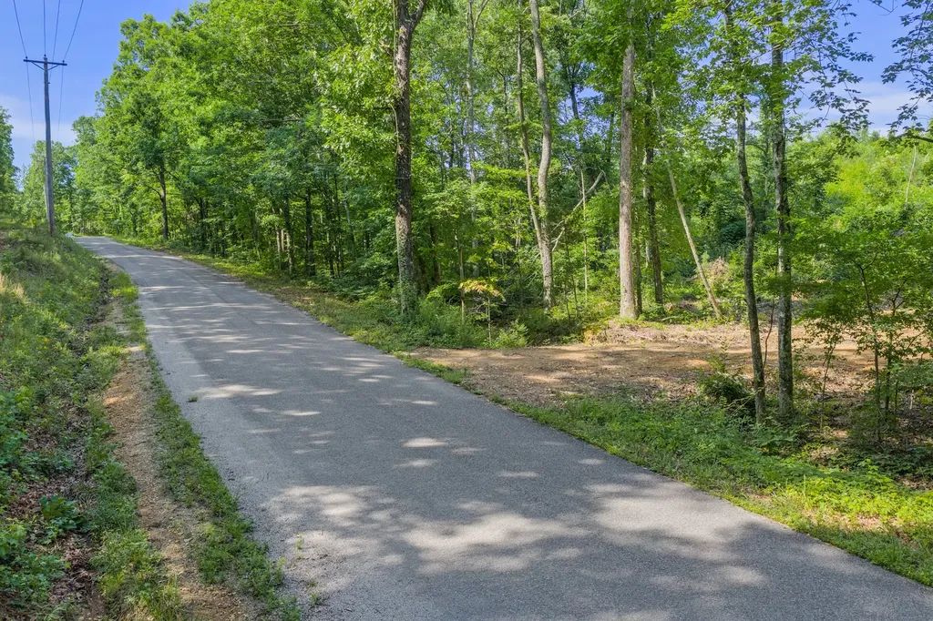0 Coxburg Road N Holladay TN 38341