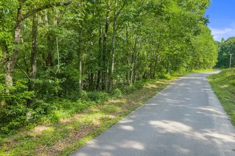 0 Coxburg Road N Holladay TN 38341