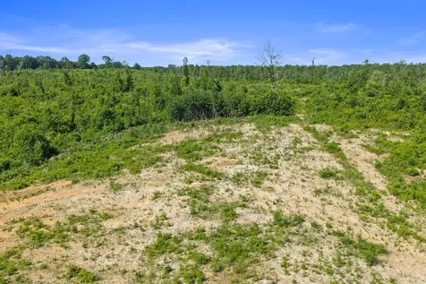 0 Coxburg Road N Holladay TN 38341