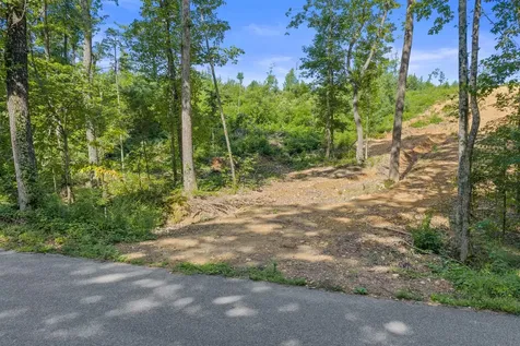 0 Coxburg Road N Holladay TN 38341
