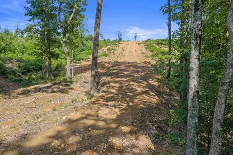 0 Coxburg Road N Holladay TN 38341