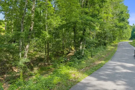 0 Coxburg Road N Holladay TN 38341